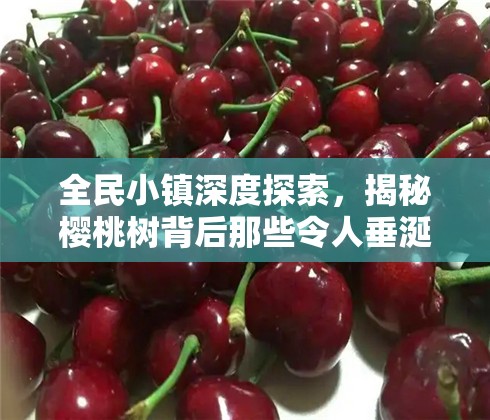 全民小镇深度探索，揭秘樱桃树背后那些令人垂涎的奇妙秘密
