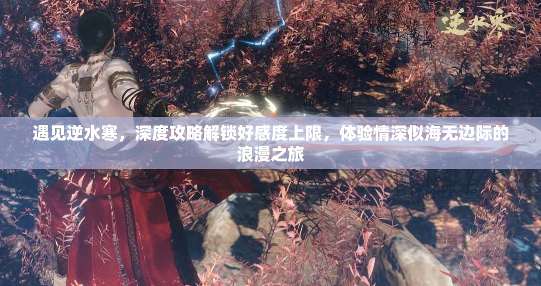 遇见逆水寒，深度攻略解锁好感度上限，体验情深似海无边际的浪漫之旅