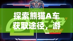 探索熊猫A车获取途径，游戏资源管理策略与优化指南