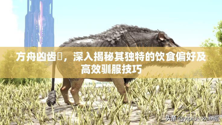 方舟凶齿豨，深入揭秘其独特的饮食偏好及高效驯服技巧