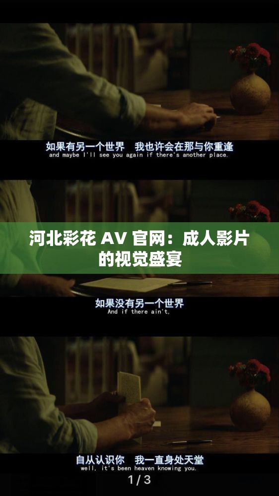 河北彩花 AV 官网：成人影片的视觉盛宴