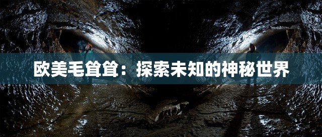 欧美毛耸耸：探索未知的神秘世界