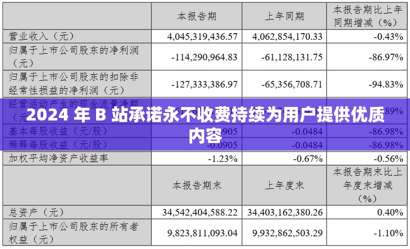 2024 年 B 站承诺永不收费持续为用户提供优质内容