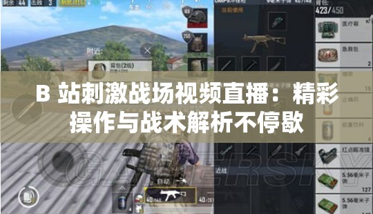 B 站刺激战场视频直播：精彩操作与战术解析不停歇