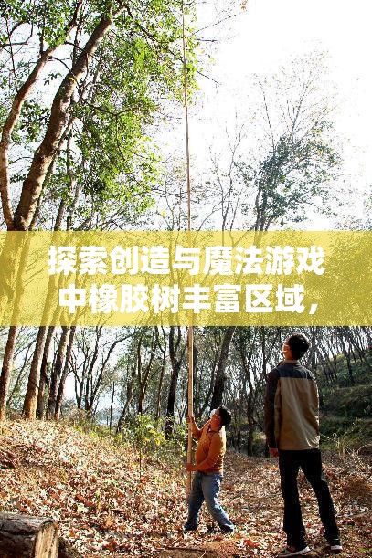 探索创造与魔法游戏中橡胶树丰富区域，资源管理的重要性及高效采集利用策略
