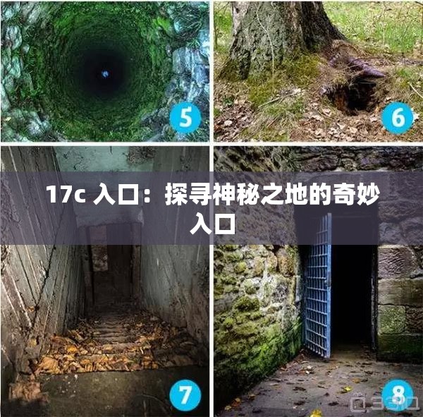 17c 入口：探寻神秘之地的奇妙入口