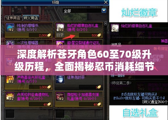 深度解析苍牙角色60至70级升级历程，全面揭秘忍币消耗细节