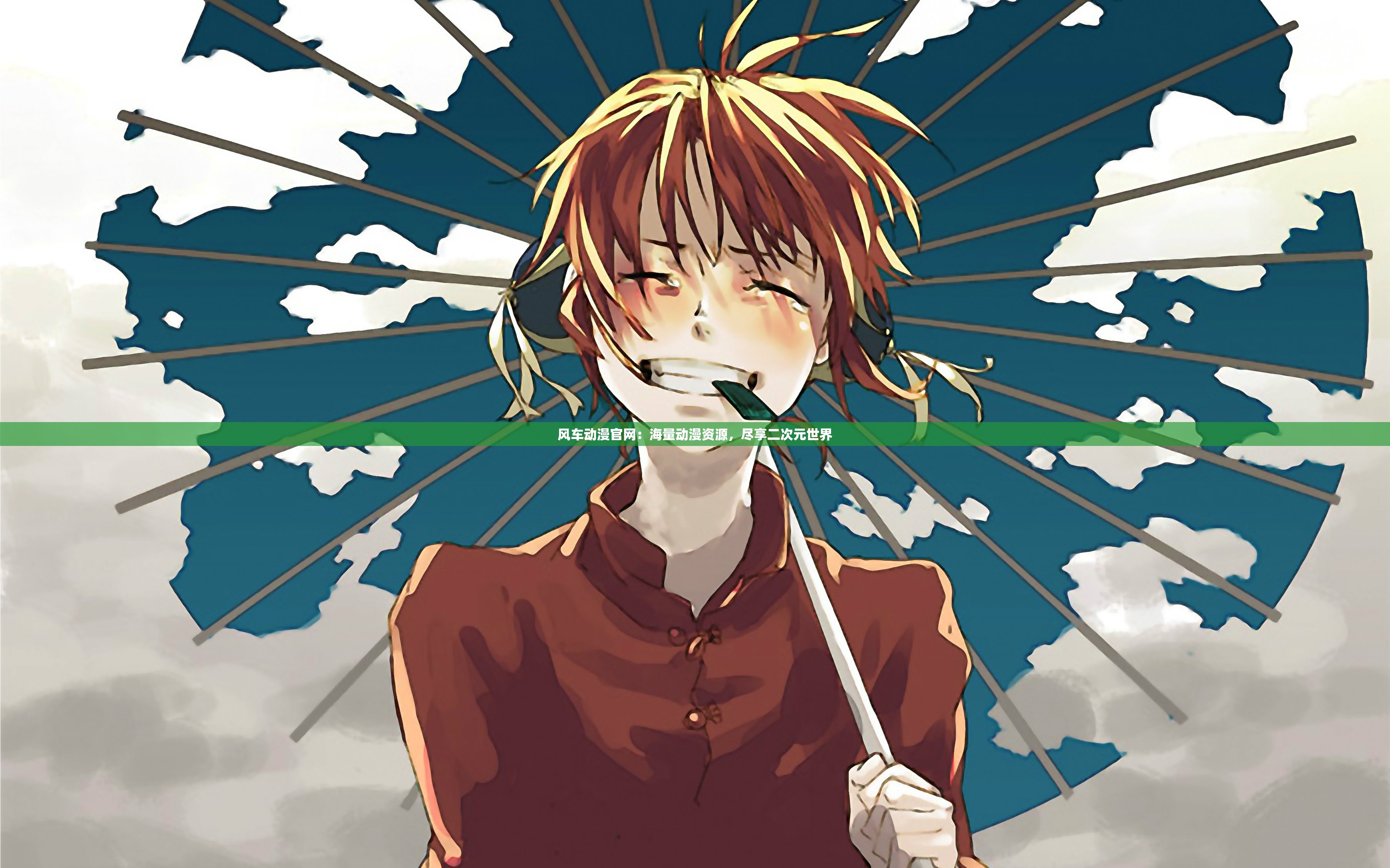 风车动漫官网：海量动漫资源，尽享二次元世界