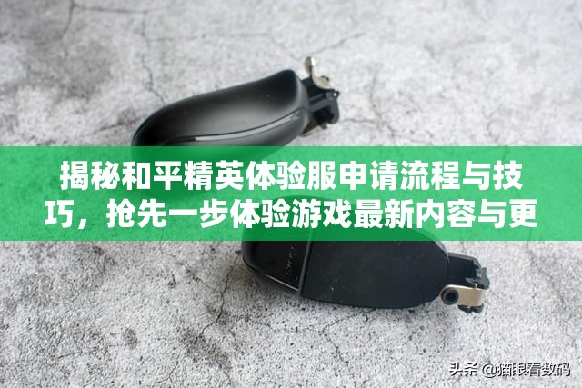 揭秘和平精英体验服申请流程与技巧，抢先一步体验游戏最新内容与更新