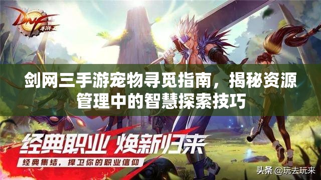 剑网三手游宠物寻觅指南，揭秘资源管理中的智慧探索技巧