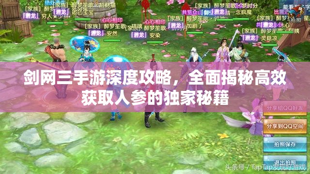 剑网三手游深度攻略，全面揭秘高效获取人参的独家秘籍
