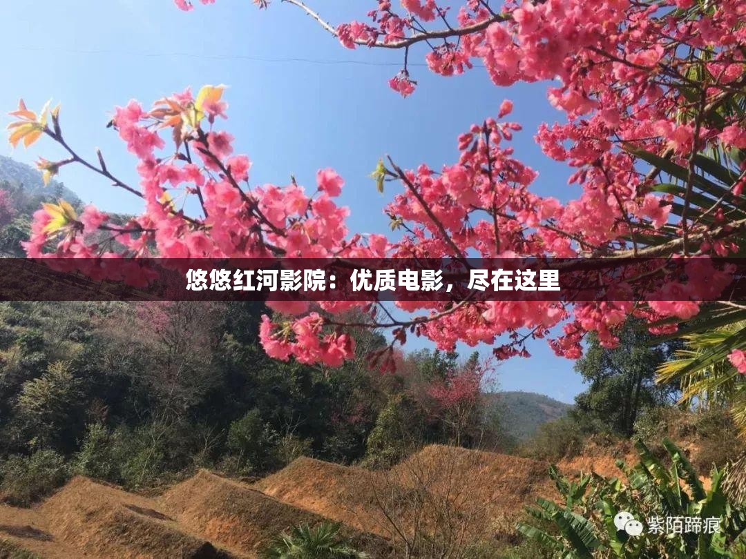 悠悠红河影院：优质电影，尽在这里