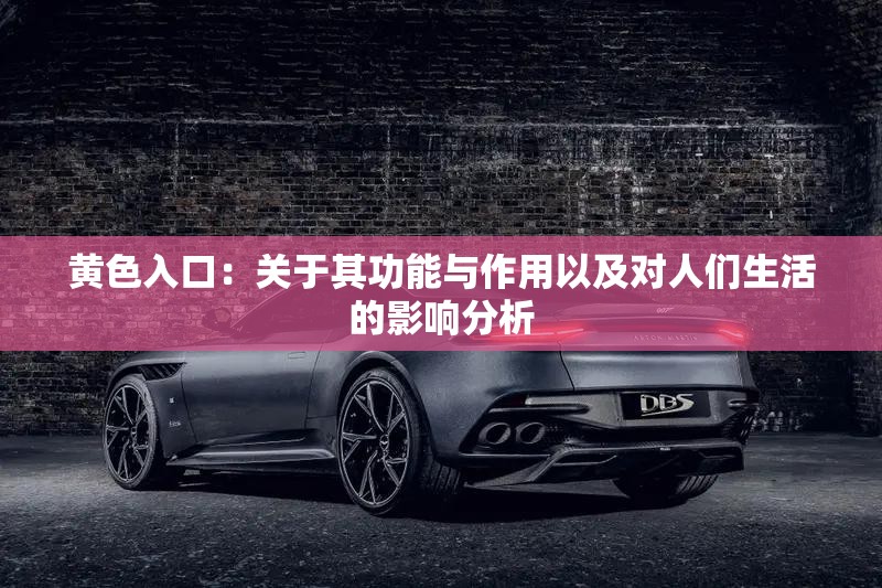 黄色入口：关于其功能与作用以及对人们生活的影响分析