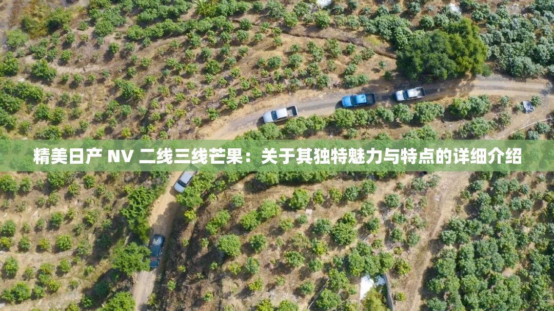 精美日产 NV 二线三线芒果：关于其独特魅力与特点的详细介绍