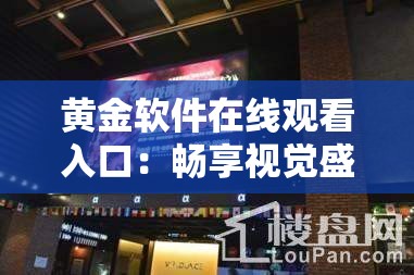 黄金软件在线观看入口：畅享视觉盛宴