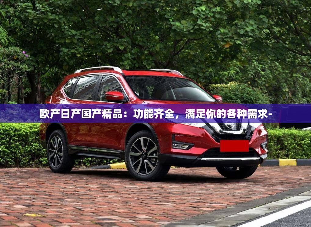 欧产日产国产精品：功能齐全，满足你的各种需求-
