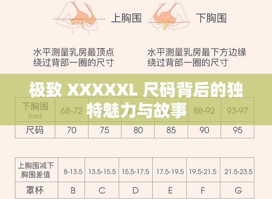 极致 XXXXXL 尺码背后的独特魅力与故事