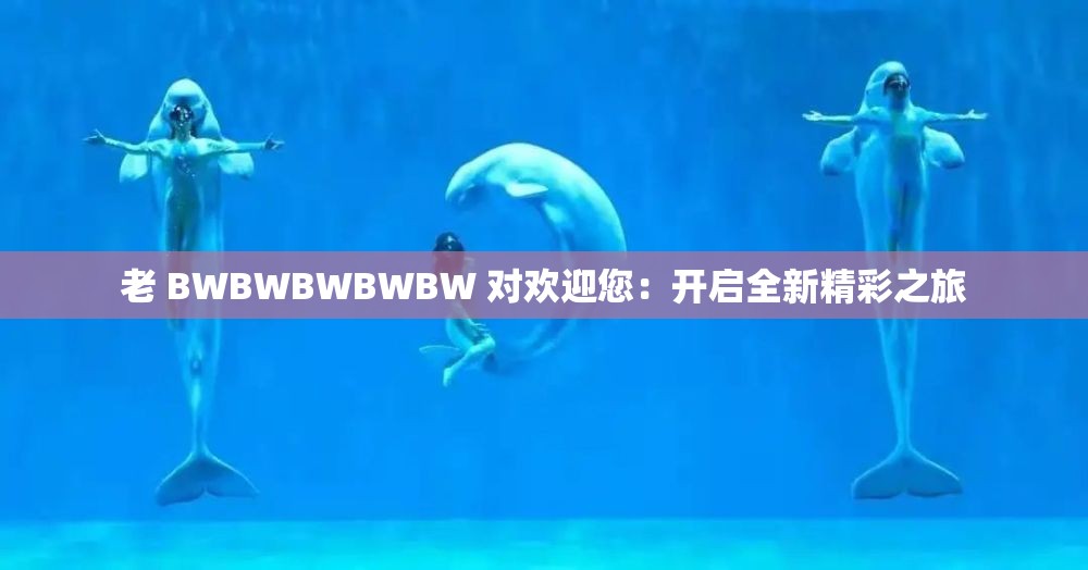 老 BWBWBWBWBW 对欢迎您：开启全新精彩之旅