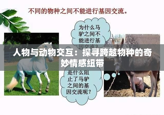 人物与动物交互：探寻跨越物种的奇妙情感纽带
