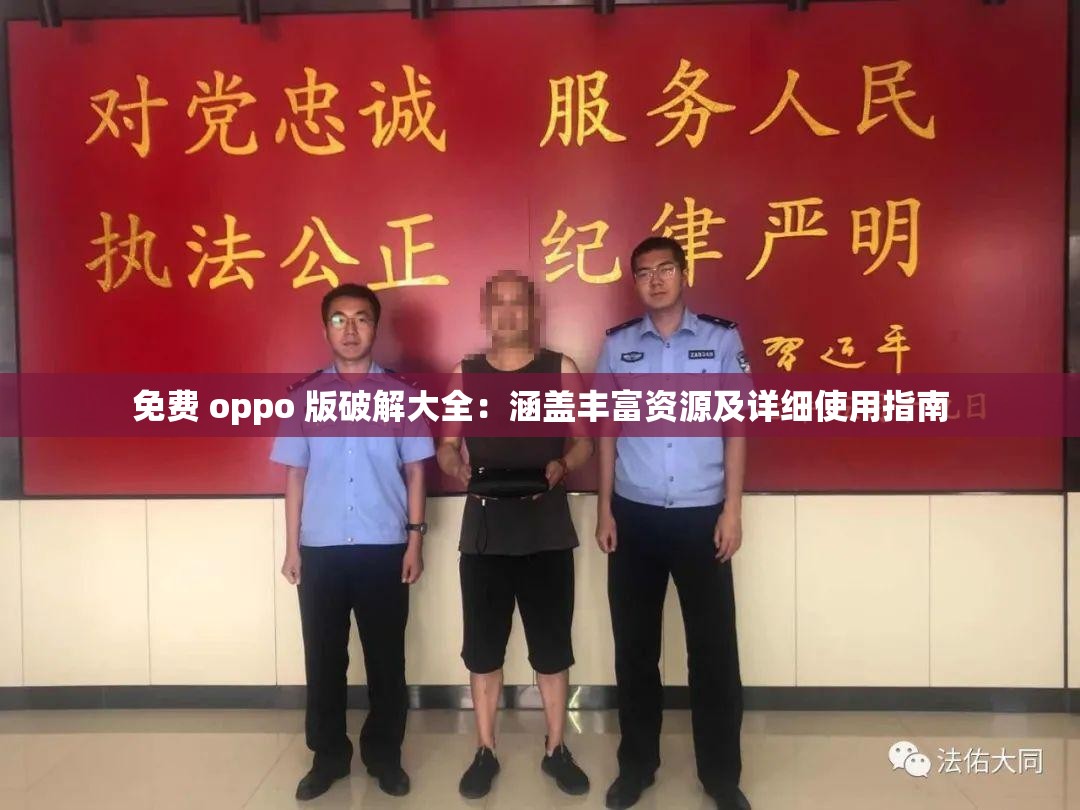 免费 oppo 版破解大全：涵盖丰富资源及详细使用指南