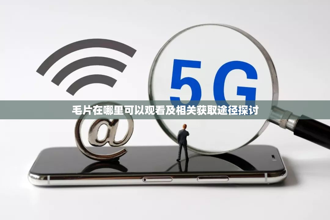 毛片在哪里可以观看及相关获取途径探讨