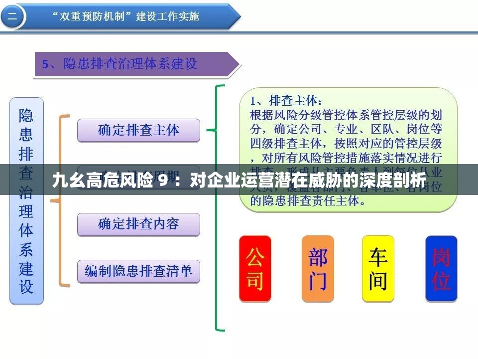九幺高危风险 9 ：对企业运营潜在威胁的深度剖析