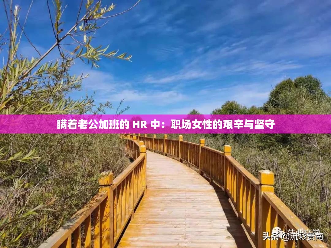 瞒着老公加班的 HR 中：职场女性的艰辛与坚守