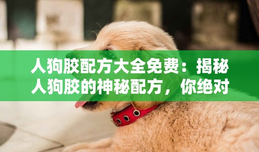 人狗胶配方大全免费：揭秘人狗胶的神秘配方，你绝对想不到
