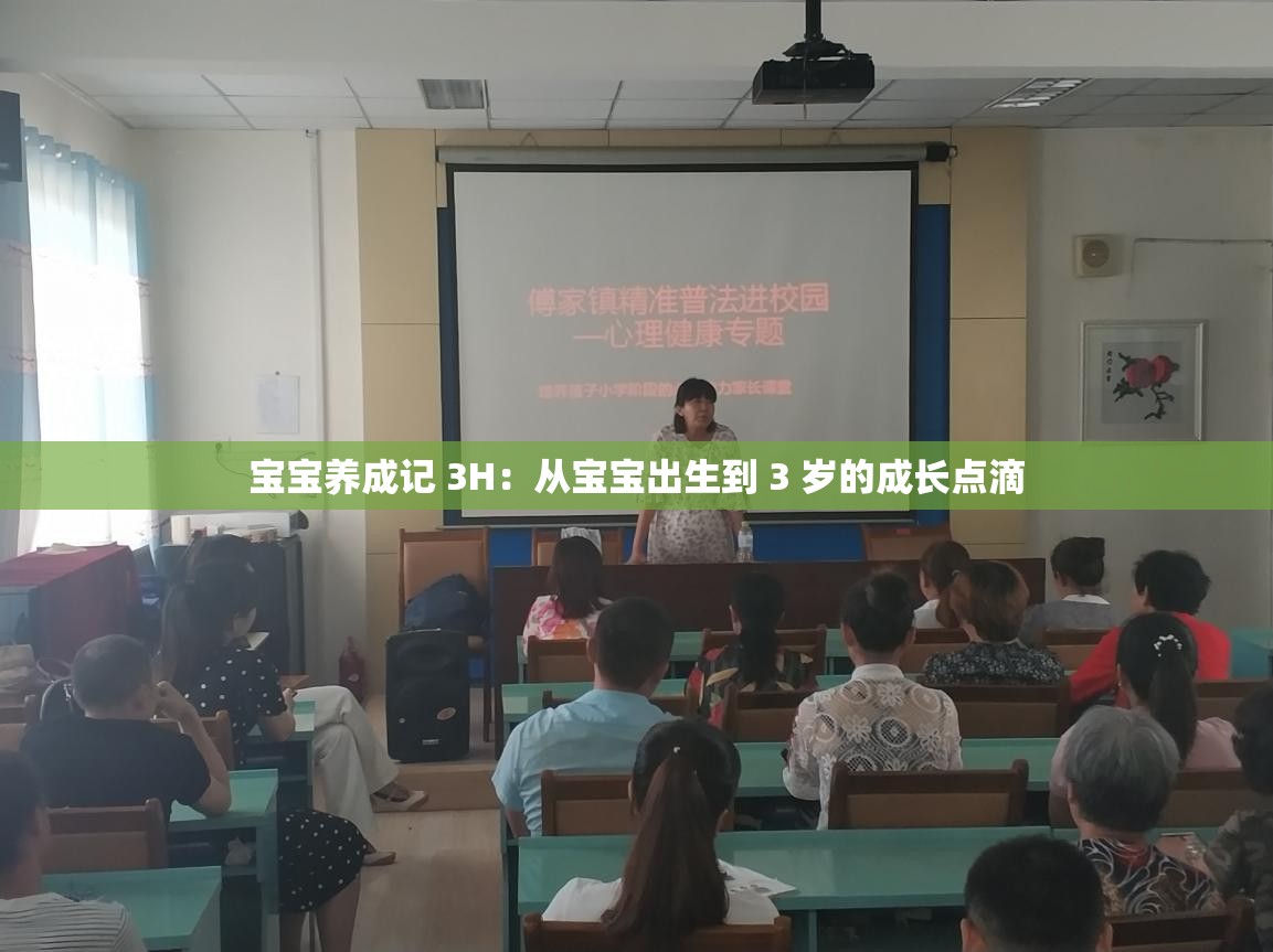 宝宝养成记 3H：从宝宝出生到 3 岁的成长点滴