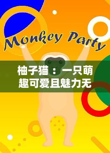 柚子猫 ：一只萌趣可爱且魅力无限的小精灵