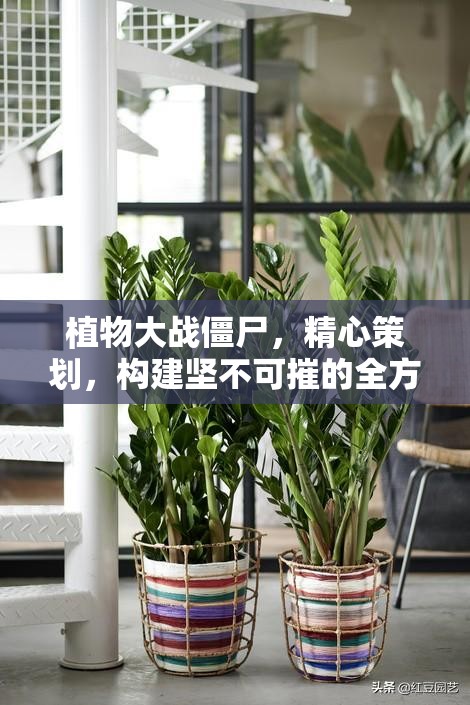 植物大战僵尸，精心策划，构建坚不可摧的全方位防御布局策略