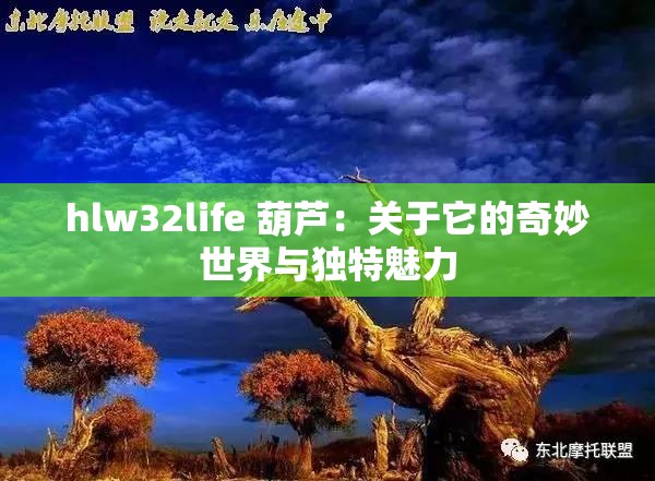 hlw32life 葫芦：关于它的奇妙世界与独特魅力