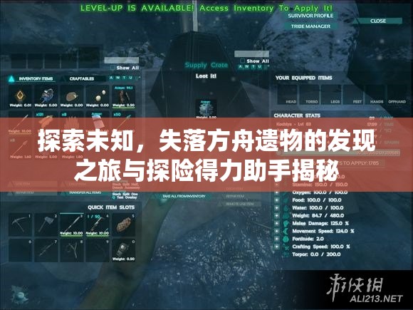 探索未知，失落方舟遗物的发现之旅与探险得力助手揭秘
