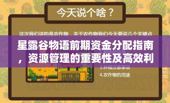 星露谷物语前期资金分配指南，资源管理的重要性及高效利用策略