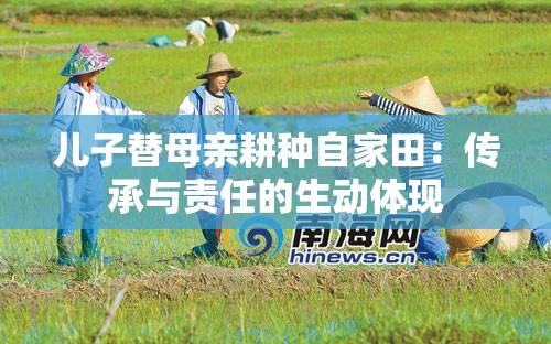 儿子替母亲耕种自家田：传承与责任的生动体现