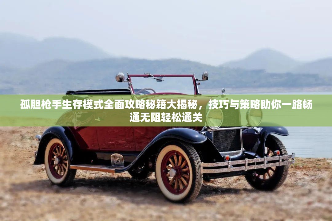 孤胆枪手生存模式全面攻略秘籍大揭秘，技巧与策略助你一路畅通无阻轻松通关