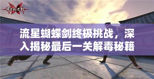 流星蝴蝶剑终极挑战，深入揭秘最后一关解毒秘籍的奥秘