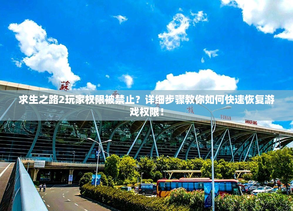 求生之路2玩家权限被禁止？详细步骤教你如何快速恢复游戏权限！