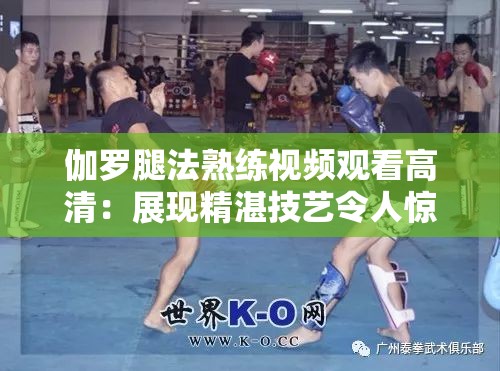 伽罗腿法熟练视频观看高清：展现精湛技艺令人惊叹