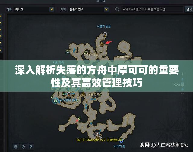 深入解析失落的方舟中摩可可的重要性及其高效管理技巧