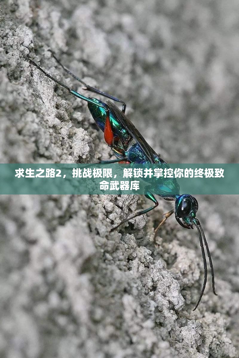 求生之路2，挑战极限，解锁并掌控你的终极致命武器库