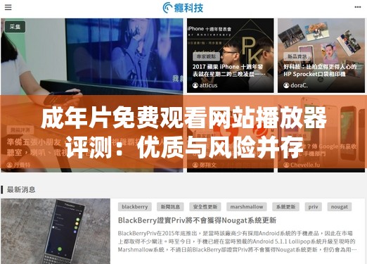成年片免费观看网站播放器评测：优质与风险并存