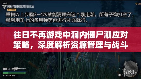 往日不再游戏中洞内僵尸潮应对策略，深度解析资源管理与战斗技巧