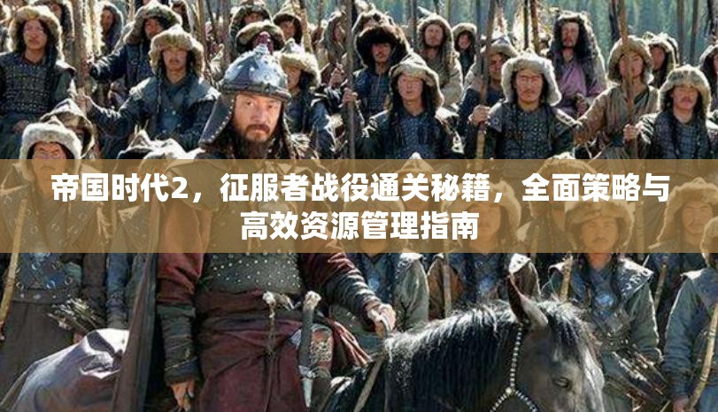 帝国时代2，征服者战役通关秘籍，全面策略与高效资源管理指南