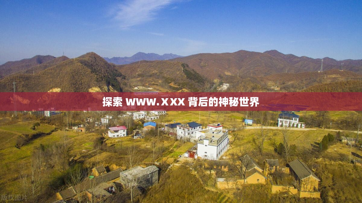 探索 WWW.ⅩXX 背后的神秘世界