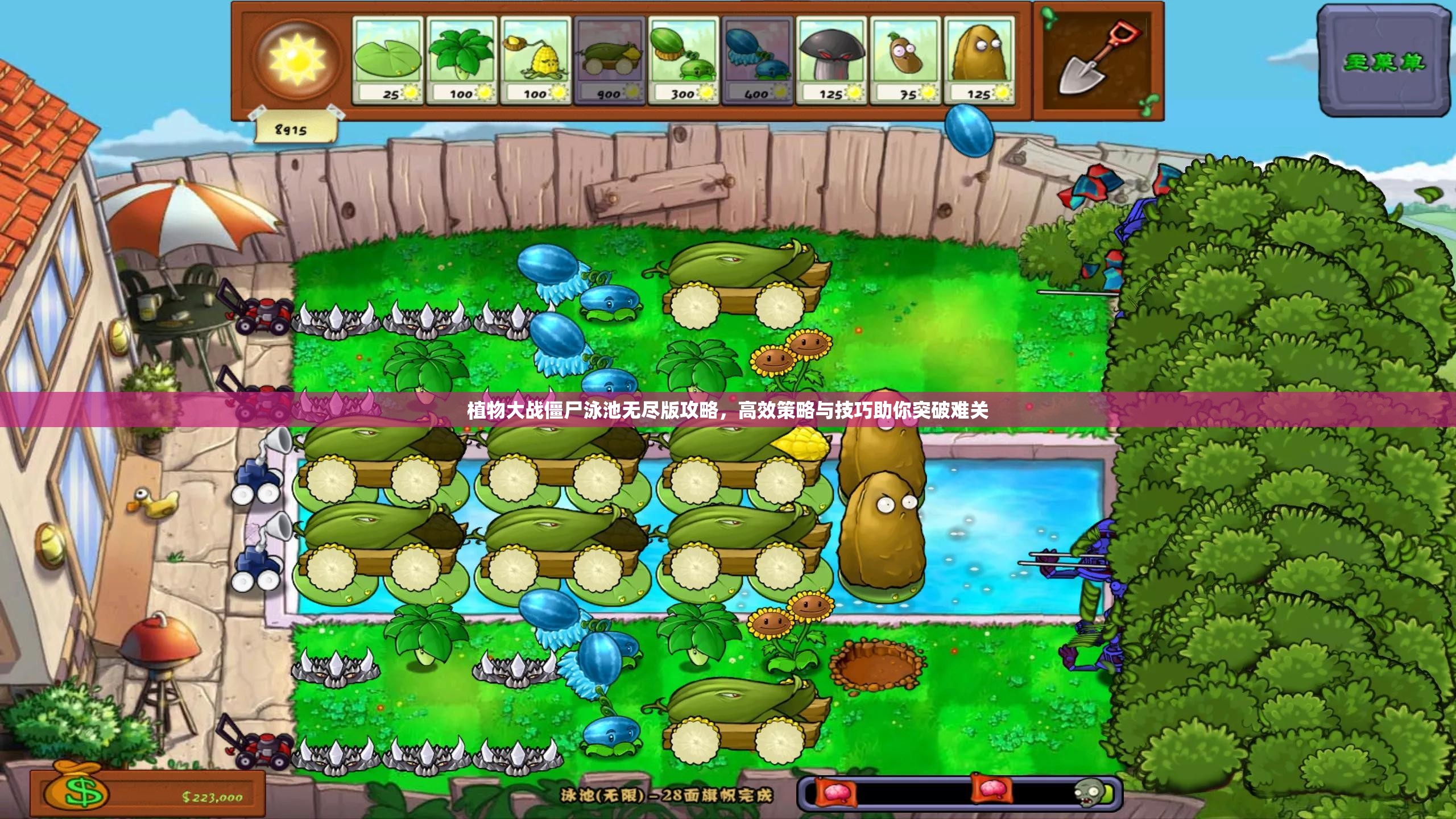 植物大战僵尸泳池无尽版攻略，高效策略与技巧助你突破难关