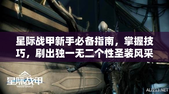 星际战甲新手必备指南，掌握技巧，刷出独一无二个性圣装风采