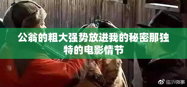 公翁的粗大强势放进我的秘密那独特的电影情节