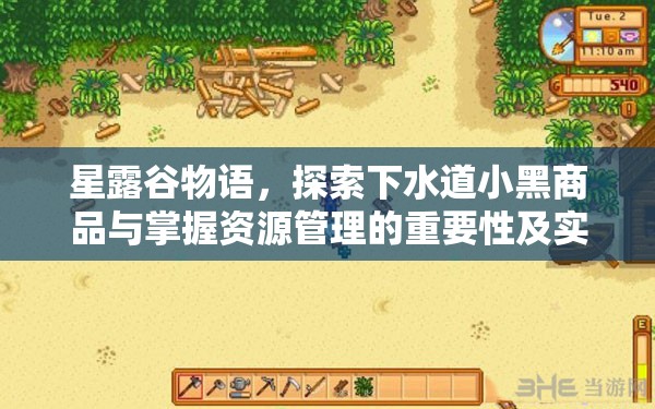 星露谷物语，探索下水道小黑商品与掌握资源管理的重要性及实用技巧