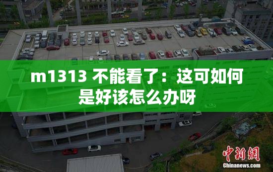 m1313 不能看了：这可如何是好该怎么办呀